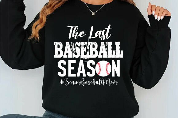 The Last Baseball Season Senior Design